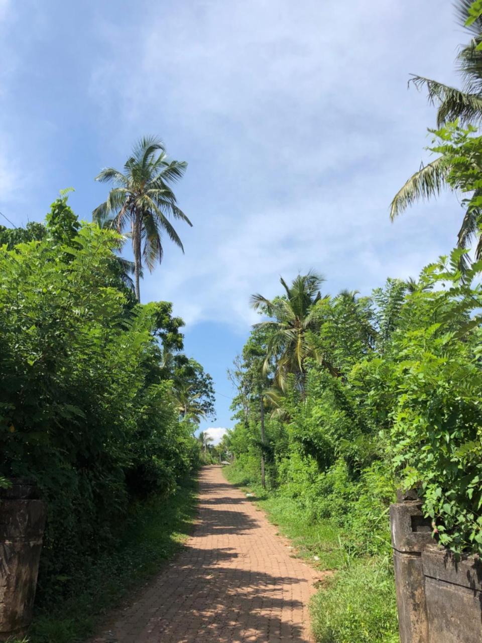 Pitaya Hotell Weligama Exteriör bild