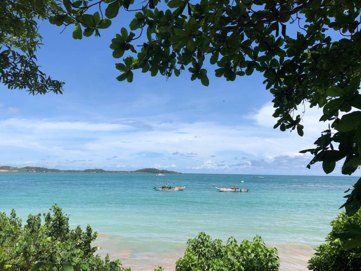 Pitaya Hotell Weligama Exteriör bild
